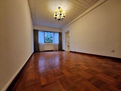 The Cairnhill (D9), Condominium #559997911